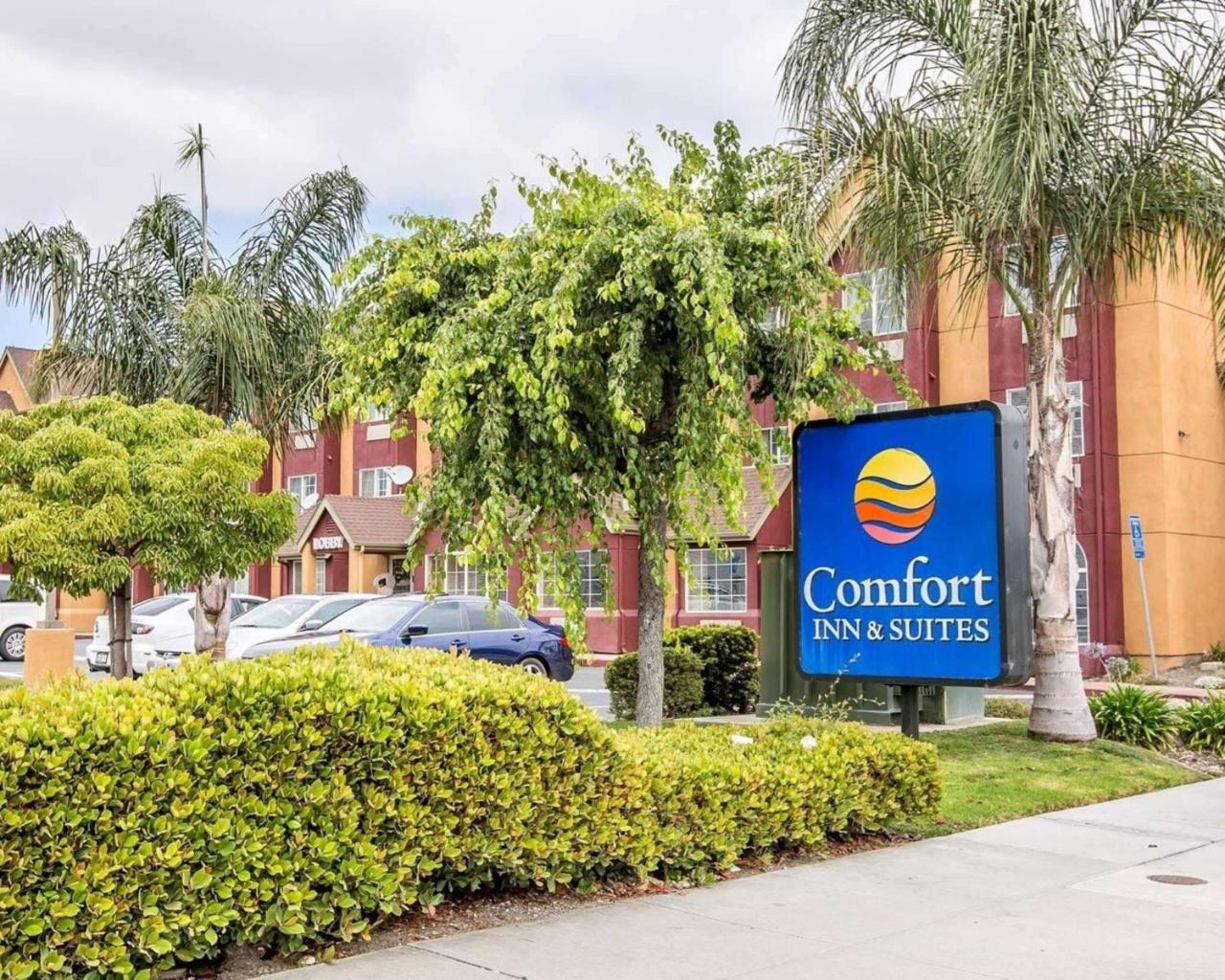 Comfort Inn&suites Salinas