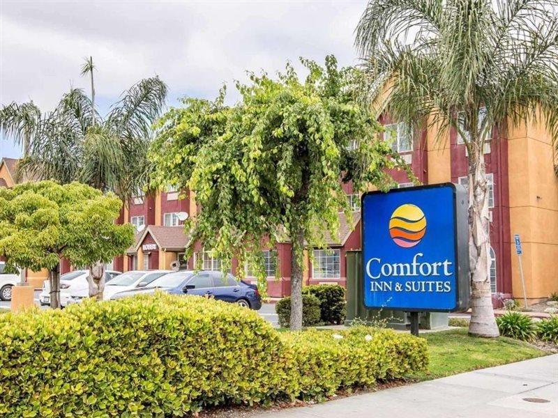 Hotel Comfort & 2*