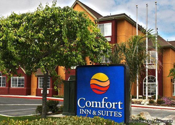 Hotel Comfort & Salinas