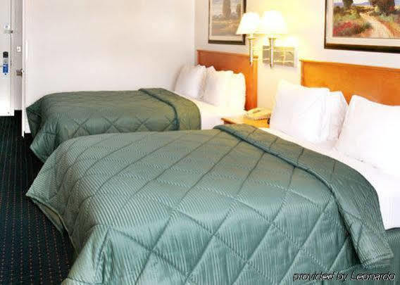 Comfort & Hotel