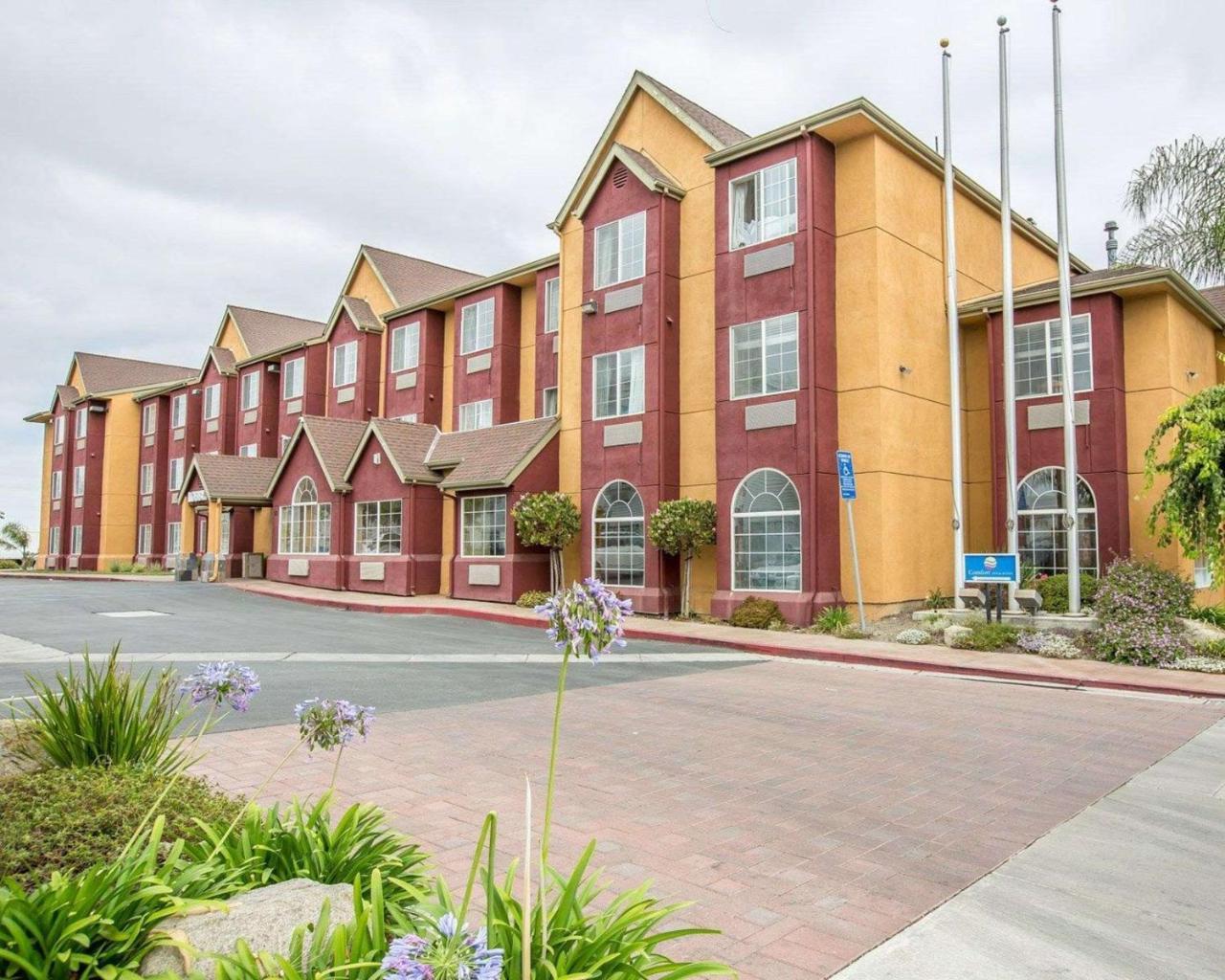 Comfort & Hotel